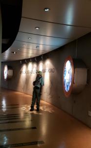 Cradle of Humankind museum