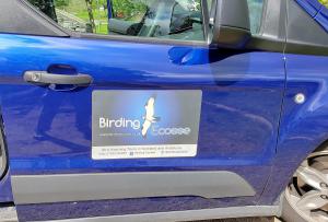 Our Birding Ecosse vehicle