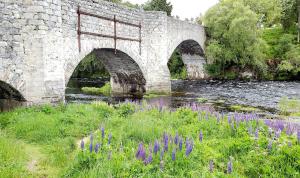 Along the Spey River