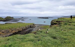 Lunga