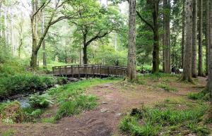Loch Lomond and the Trossachs National Park