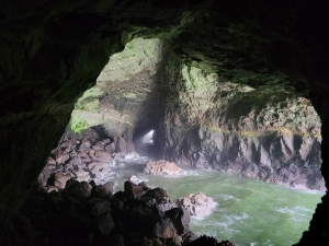 Sea Lion Caves, Florence, Oregon