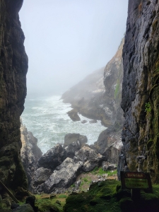 Sea Lion Caves, Florence, Oregon