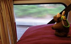 Night train to Lisbon!