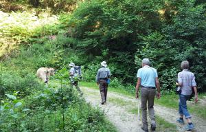 Walking up the road from the cottage