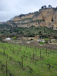 Bodega Gonzalo Beltrán, Ronda
