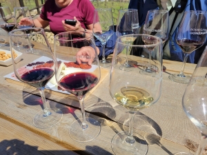 Bodega Gonzalo Beltrán, Ronda