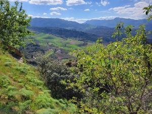 Hiking back to Ronda old town