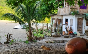 Living at the beach