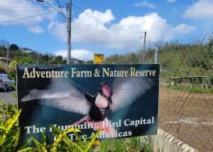 Adventure Farm and Nature Reserve