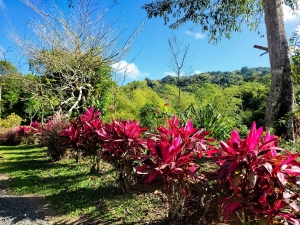 Cuffie River Nature Retreat