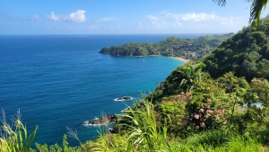 Overlooking Castara, Tobago