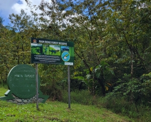 Main Ridge Forest Reserve
