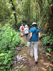 Main Ridge Forest Reserve