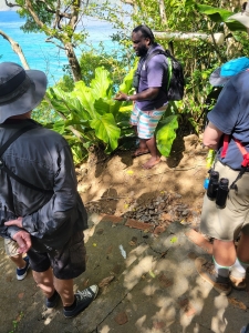 Birding with Zee, Little Tobago Island