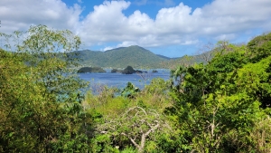 Vista, Little Tobago Island