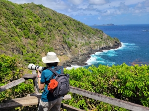 Liza after Red-billed Tropicbirds