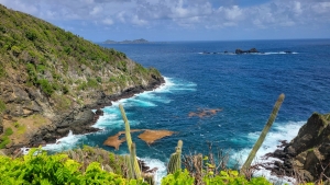 Little Tobago Island