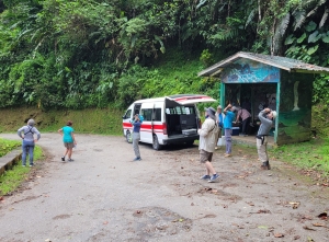 Blanchisseuse Rd birding lunch stop
