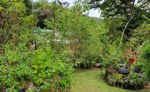 Gardens at Yerettê 