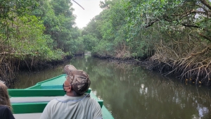 Boat tour