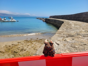The Cobb, Lyme Regis