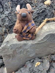 Fossil hunting, Lyme Regis