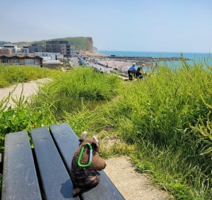 West Bay