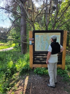 Anagach Woods, Grantown-on-Spey