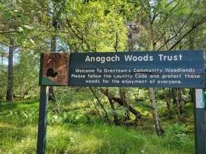 Anagach Woods, Grantown-on-Spey