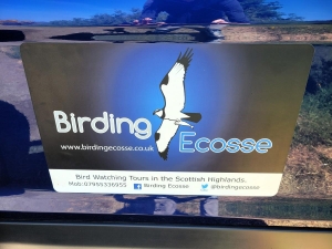 Birding Ecosse, our birding tour operator