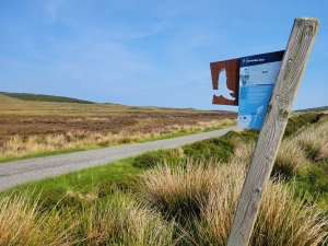 Birding North Uist