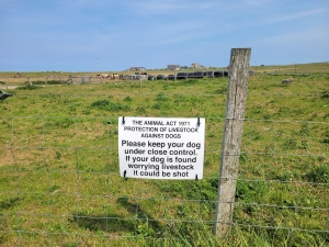 Don't say you weren't warned!