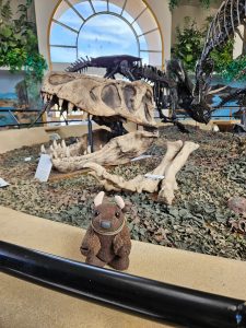 Museum of the San Rafael, Castle Dale UT