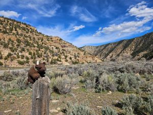 Nine-mile Canyon, UT