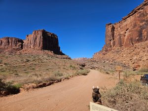 Jug Handle Arch site (arch not in view)