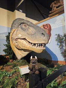 Fruita Dinosaur Journey Museum