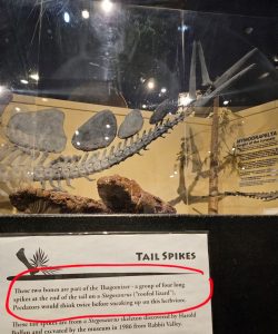 Fruita Dinosaur Journey Museum