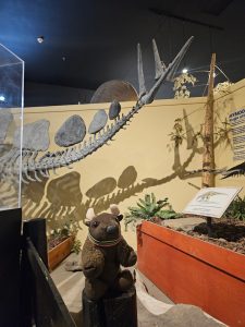 Fruita Dinosaur Journey Museum
