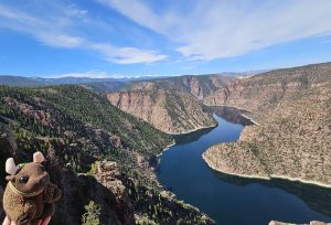 Green River flowing through Red Canyon