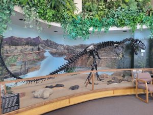 Museum of the San Rafael, Castle Dale UT