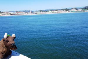 Santa Cruz, CA