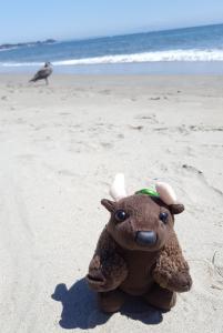 Santa Cruz, CA