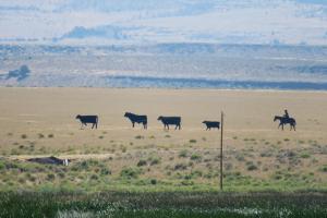 Malheur NWR, OR