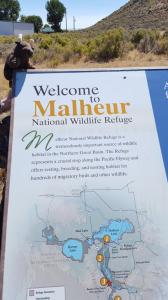 Malheur NWR, OR