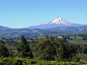 Mt Hood - visible for miles!