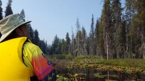 Canoeing and checking out nest boxes