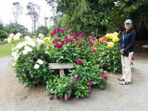 Mendocino Coast Botanical Gardens