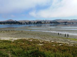 Bodega Bay, CA