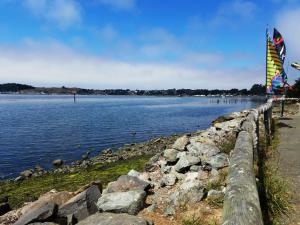 Bodega Bay, CA